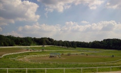 종마목장에서~ - 자유게시판 출사코리아