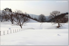 간만에 릴레이 함할까요~~^^* - 자유게시판 출사코리아