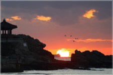 오늘 송정입니다. - 자유게시판 출사코리아