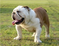 잡혀갔나봐여 .. ㅠㅠ - 자유게시판 출사코리아