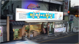 유채를 심었습니다~ - 자유게시판 출사코리아