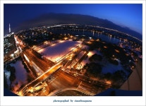 아름다운 일산.. - 자유게시판 출사코리아