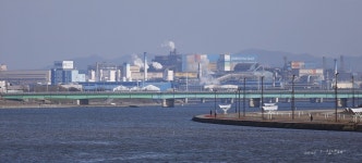 ☆... 이런 군무(2) ...☆ - 자유게시판 출사코리아