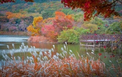 진해 내수면 환경생태공원 - 자유게시판 출사코리아