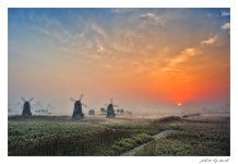 오늘아침 소래습지생태공원 - 자유게시판 출사코리아