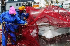 부산 대변항 에서~ - 자유게시판 출사코리아