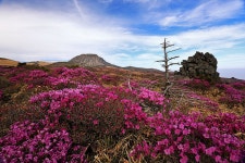 [출석부] 5월15일 일요일 - 자유게시판 출사코리아