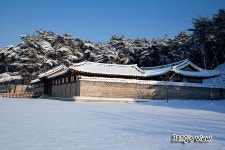 세계유산-세종대왕릉 - 출사 여행기 출사코리아