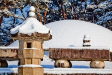 세계유산-세종대왕릉 - 출사 여행기 출사코리아