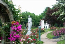 서울대공원 장미축제 - 출사 여행기 출사코리아