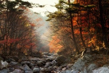 만추의 계곡 - 베스트갤러리 출사코리아