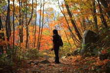 가을이 오면...... - 베스트갤러리 출사코리아