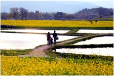 경주 반월성 - 베스트갤러리 출사코리아