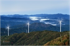 태기산의 또 다른 풍경 - 베스트갤러리 출사코리아