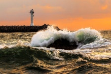 성난파도 - 베스트갤러리 출사코리아