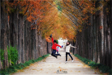 행복한 나들이 - 베스트갤러리 출사코리아