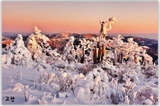 태백의 여명속 아침 빛... - 베스트갤러리 출사코리아