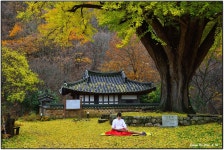 운곡서원 - 베스트갤러리 출사코리아