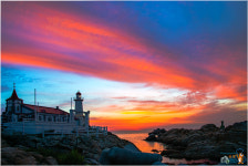 죽성 - 베스트갤러리 출사코리아