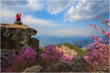 연인과 진달래 - 베스트갤러리 출사코리아