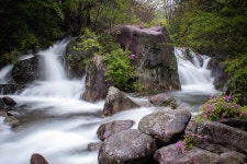월성계곡 쌍폭포? - 베스트갤러리 출사코리아
