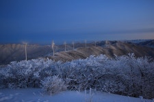 태기산의 여명 - 베스트갤러리 출사코리아