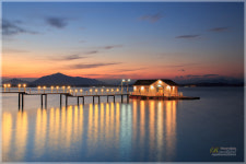 차 한 잔 하실래요? - 베스트갤러리 출사코리아