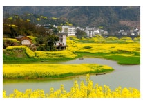 ***강변풍경 - 베스트갤러리 출사코리아