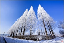 신륵사 가는길. - 베스트갤러리 출사코리아