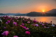 대청호반의 아침 - 베스트갤러리 출사코리아