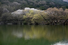 진해내수면환경생태공원 / The Jinhae National Fisheries Research & Development Institute(NFRDI) Environment Eco-Park(Inland Water... 