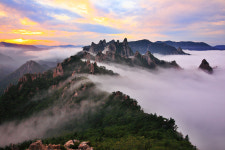 공룡 - 베스트갤러리 출사코리아