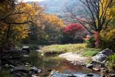 산사로 가는길... - 베스트갤러리 출사코리아