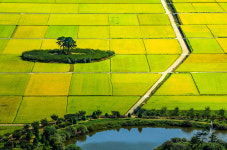 평사리의 오후 - 베스트갤러리 출사코리아