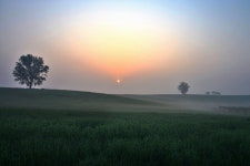 안성목장.. - 베스트갤러리 출사코리아