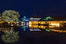 동궁과 월지 야경 - 베스트갤러리 출사코리아