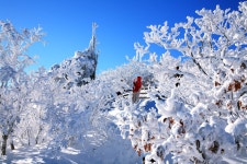 천상의 여인.. - 베스트갤러리 출사코리아