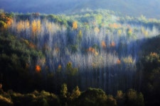 만추의 빛 - 베스트갤러리 출사코리아