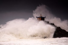 오량대 - 베스트갤러리 출사코리아