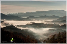 골골이 - 베스트갤러리 출사코리아