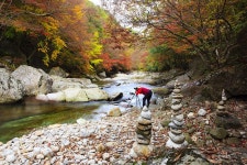 뱀사골 - 베스트갤러리 출사코리아