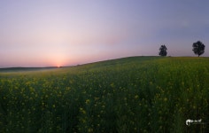 안성목장 - 베스트갤러리 출사코리아