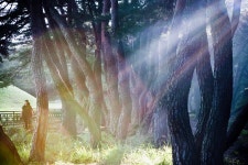 빛을 만나다 - 베스트갤러리 출사코리아