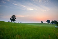 안성목장 - 베스트갤러리 출사코리아