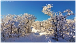 아 ! 태백산 - 베스트갤러리 출사코리아