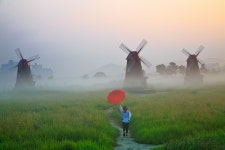 소래습지생태공원. - 베스트갤러리 출사코리아