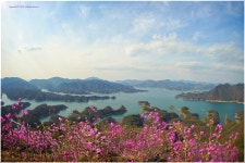 악어섬 - 베스트갤러리 출사코리아