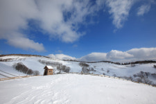 목장의풍경 - 베스트갤러리 출사코리아