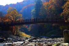 선재길 오대천 - 베스트갤러리 출사코리아