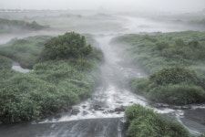 황강에서... - 베스트갤러리 출사코리아